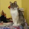 Отзыв от Наталья Демина